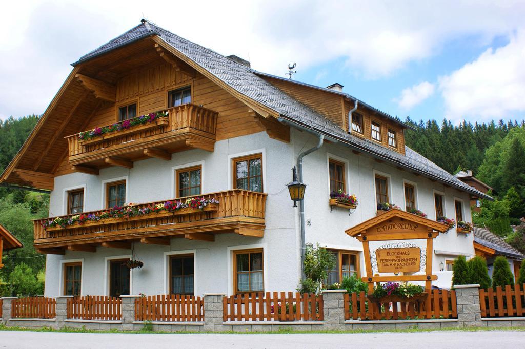 Villa Biobauernhof Tonimoertl Mariapfarr Esterno foto