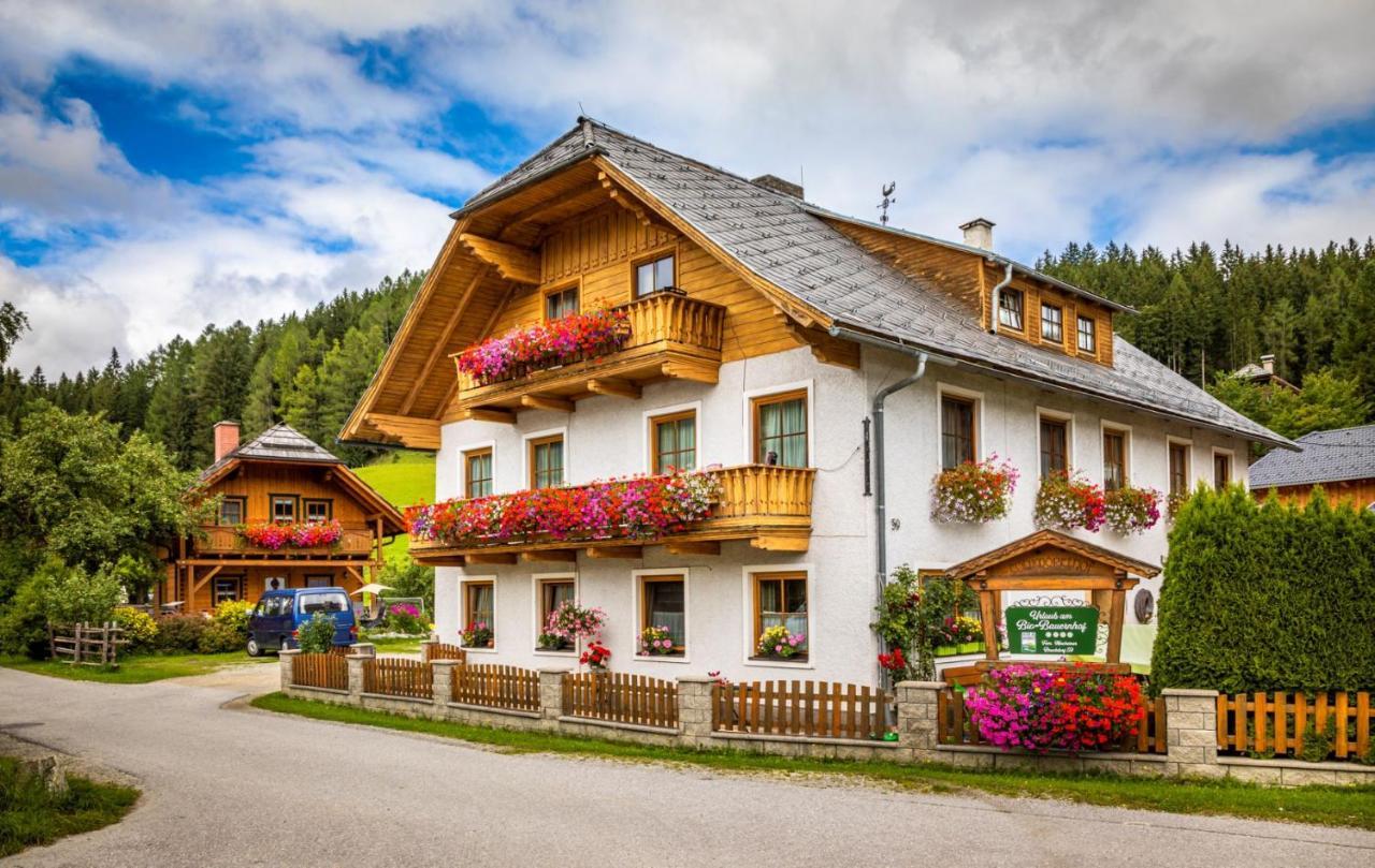 Villa Biobauernhof Tonimoertl Mariapfarr Esterno foto