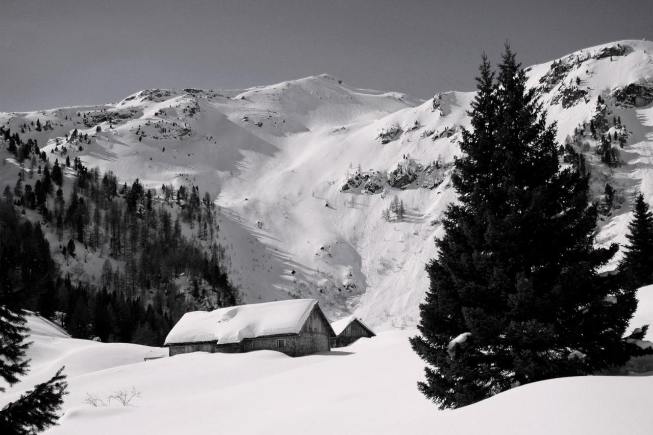 Villa Biobauernhof Tonimoertl Mariapfarr Esterno foto